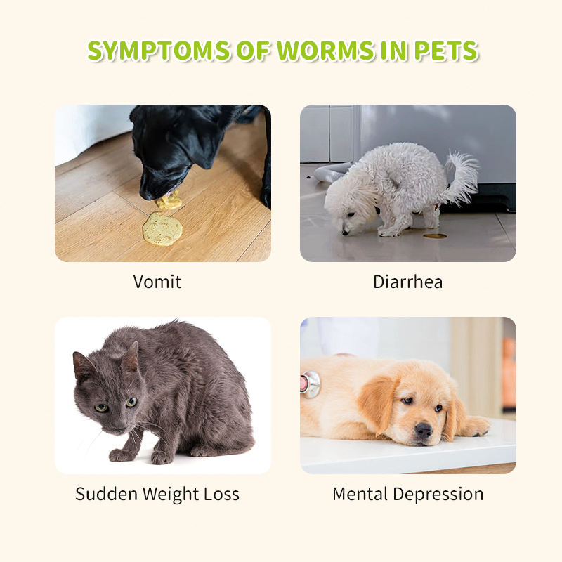 Suitable for Cats and Dogs Pet Health Products Herbal Supplements Gastrointestinal Regulation Herbal Deworming Tablets - Image 5