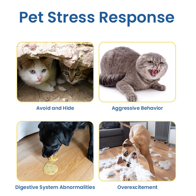 Custom Pet Calming Supplements for Dogs and Cats, Chewable Tablets to Maintain Emotional Balance and Relieve Stress and Anxiety - Image 6