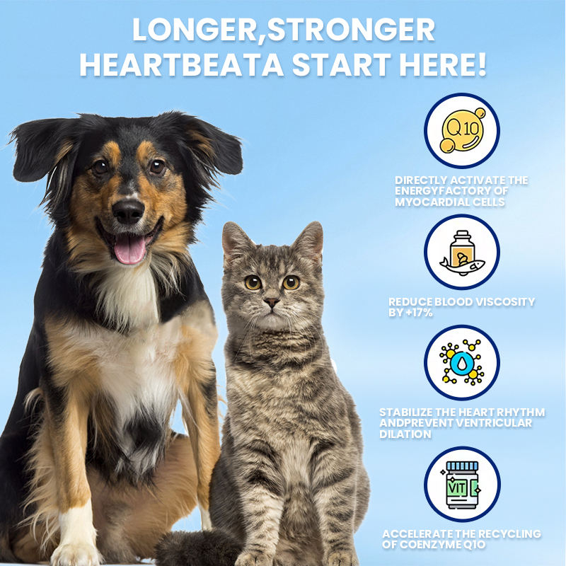 ODM/OEM Heart Support Chewable Tablets for Cats and Dogs Stay Calm Reduce Stress Anti-Anxiety Heart Health Care Supplements - Image 2