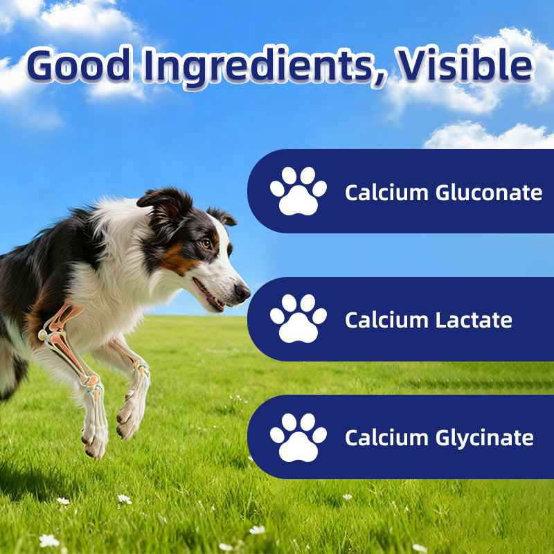 Dog & Cat Bone Growth Support Liquid Drops with Fast Absorption-Safe Calcium Absorption Aid Vitamin D Supplement (60ml) - Image 4