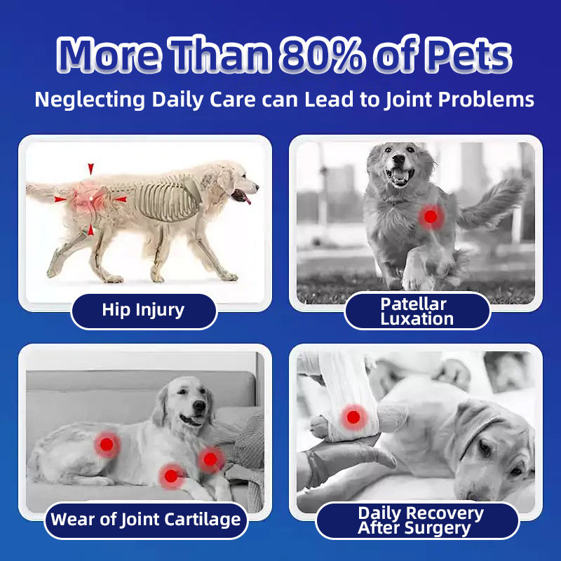 Dog & Cat Bone Growth Support Liquid Drops with Fast Absorption-Safe Calcium Absorption Aid Vitamin D Supplement (60ml) - Image 5