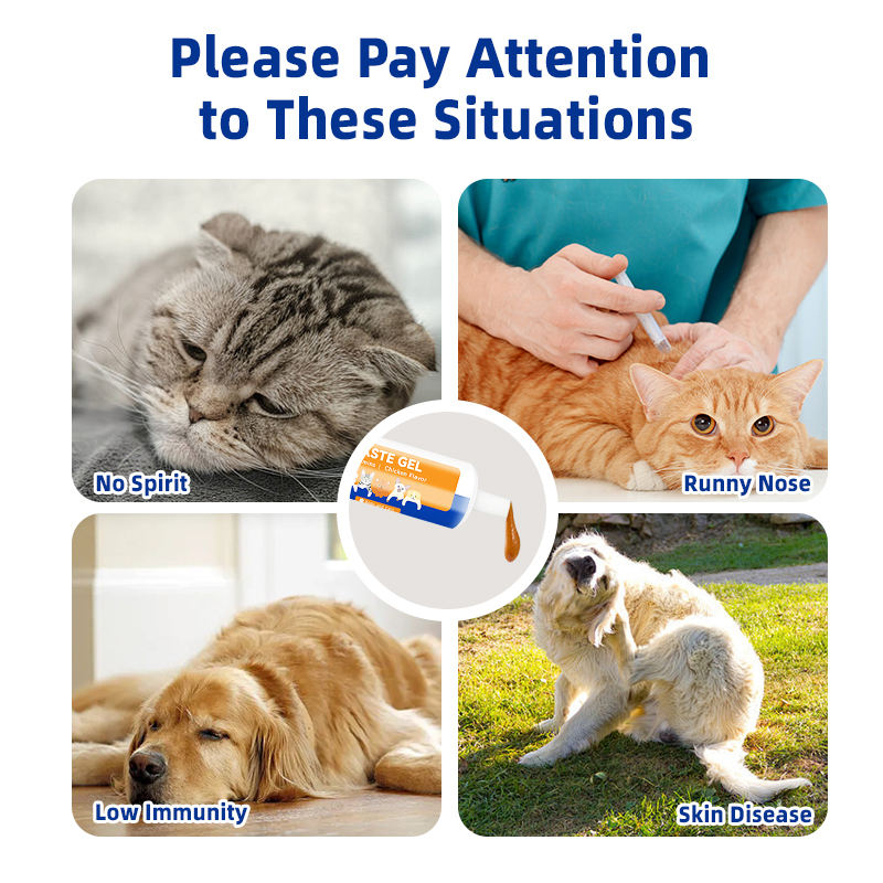 Natural Pet Immune Support Gel Nutritional Paste Supplement Promote Immune System With L-Lysine for Cat Additive-Free - Image 5