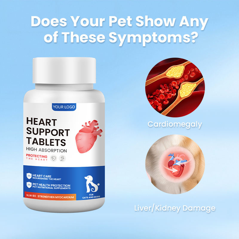 ODM/OEM Heart Support Chewable Tablets for Cats and Dogs Stay Calm Reduce Stress Anti-Anxiety Heart Health Care Supplements - Image 6